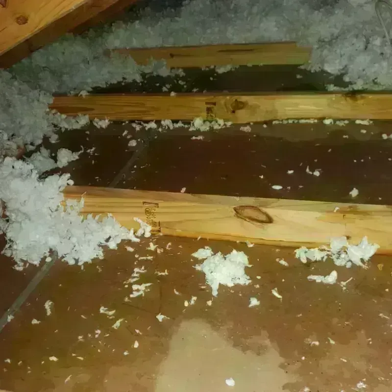 Attic Water Damage in Dawson County, TX