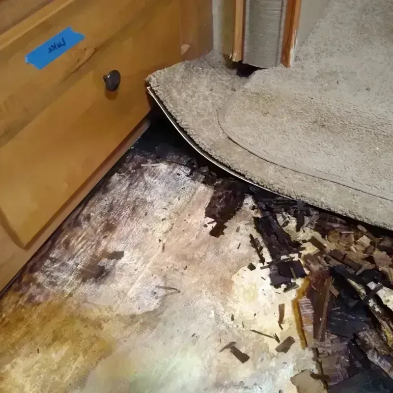 Best Wood Floor Water Damage Service in Dawson County, TX